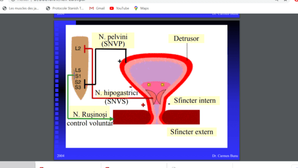 Kinetoterapia si recuperarea planseului pelvin/ reeducarea perineala cu cel mai performant aparat medical de pe piata mondiala cu electrostimulare si biofeedback Cursuri pentru kinetoterapeuti in recuperarea planseului pelvin Colaborari cu centre medicale pentru integrarea reeducarii perineale